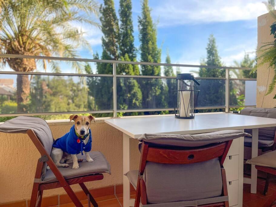 Apartamento Klimatyczny Loft I Egzotyczny Basen Benalmádena Exterior foto